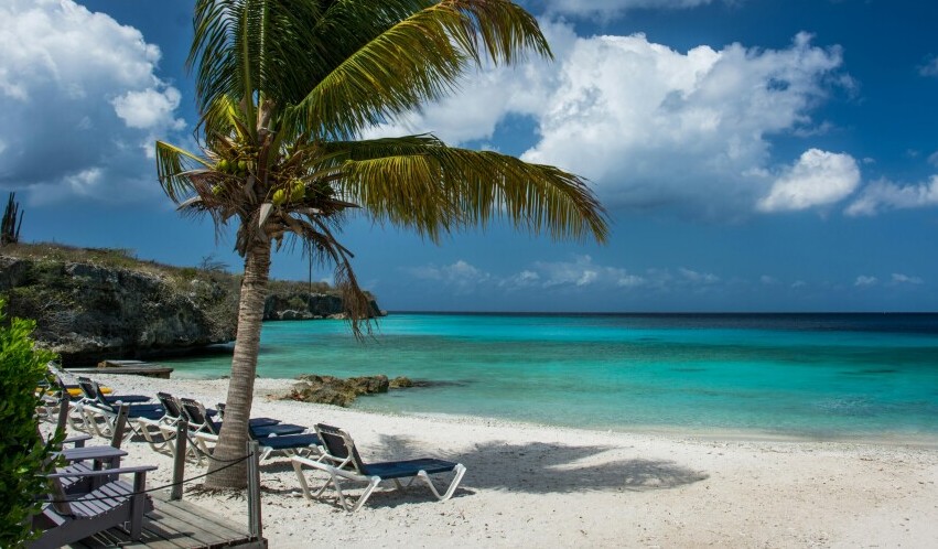 A tropical beach scene with a clear, blue sky and turquoise ocean. A single palm tree leans over white sandy beach. Several lounge chairs are arranged facing the water. Rocky outcrops are visible in the background.
