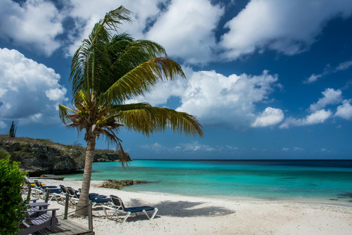 A tranquil beach scene in Curacao with a lone palm tree swaying in the foreground. The sandy beach is lined with empty lounge chairs, facing a clear turquoise sea under a partly cloudy sky. Rocky cliffs are visible in the distance.
