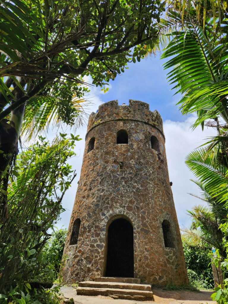 A stone tower in El Yunque Rainforest, Puerto Rico with arched windows and a doorway stands amidst lush greenery and tall palm trees under a blue sky. The scene is framed by foliage, creating a natural border around the tower.